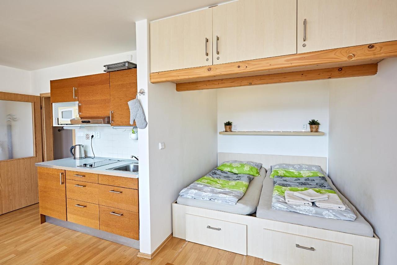Loučná pod Klínovcem Apartman Klinovec 365 מראה חיצוני תמונה